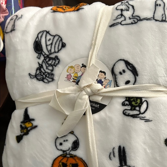 Berkshire Other - Berkshire Peanuts Halloween Blanket with Characters
